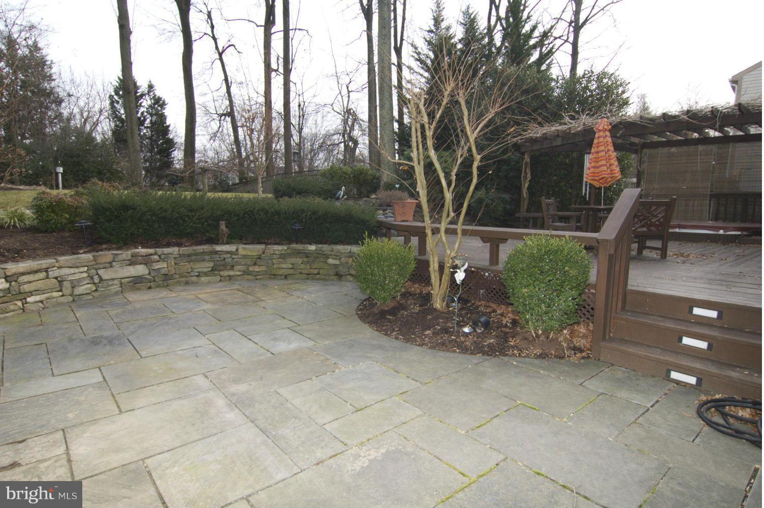 10701 Margate Road Silver Spring, MD 20901 - Photo 27 of 30 Steps from patio up to eating DECK