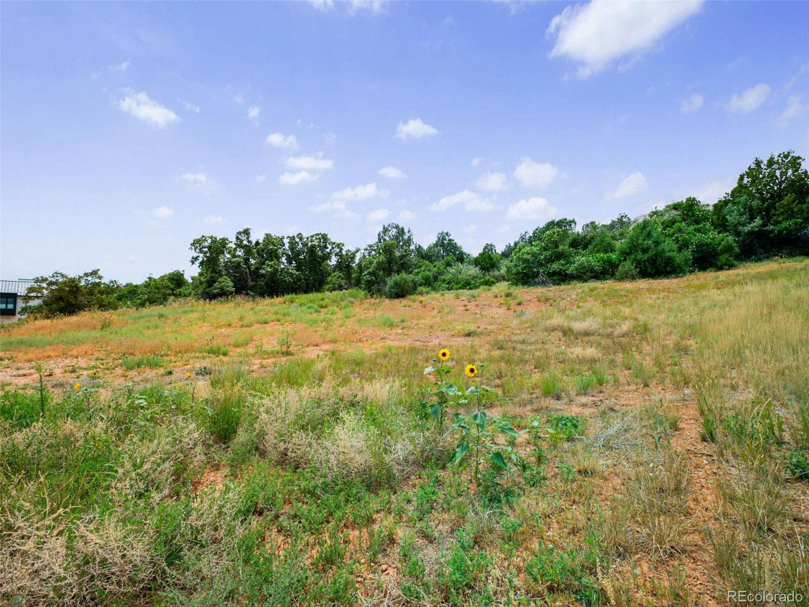 7983 Raphael Lane Littleton, CO 80125 - Photo 7 of 26 a view of a lake view