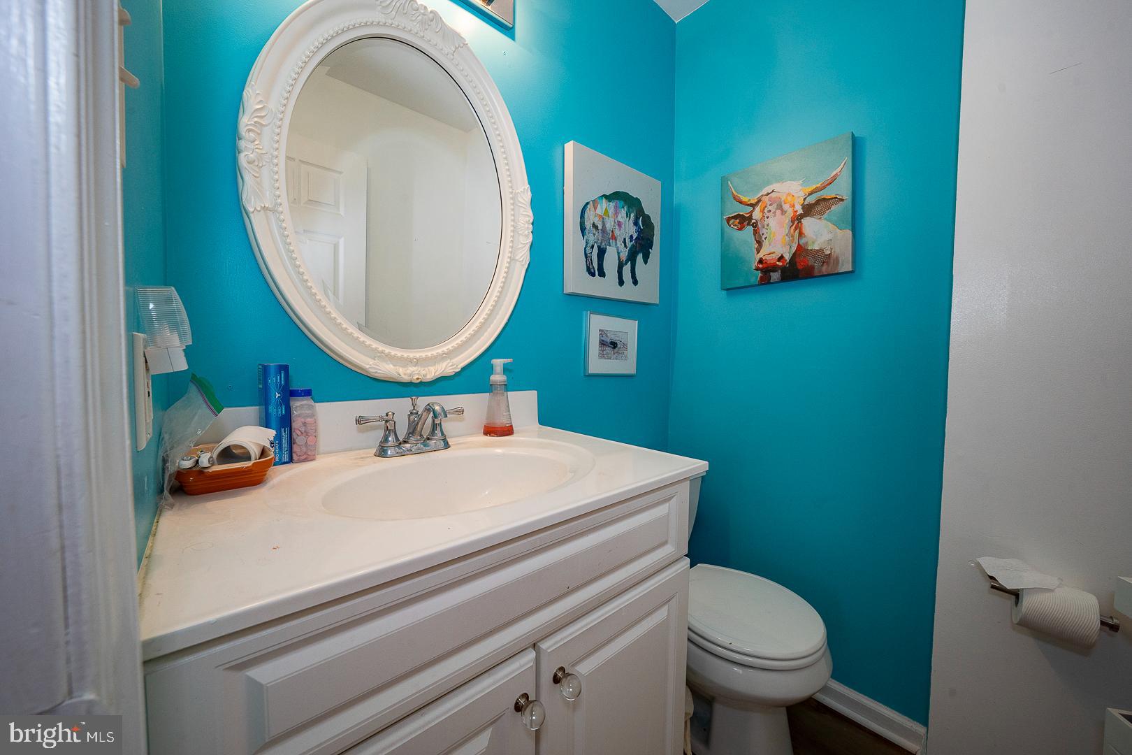 240 Springvalley Way Aston, PA 19014 - Photo 8 of 29 a bathroom with a sink and a mirror