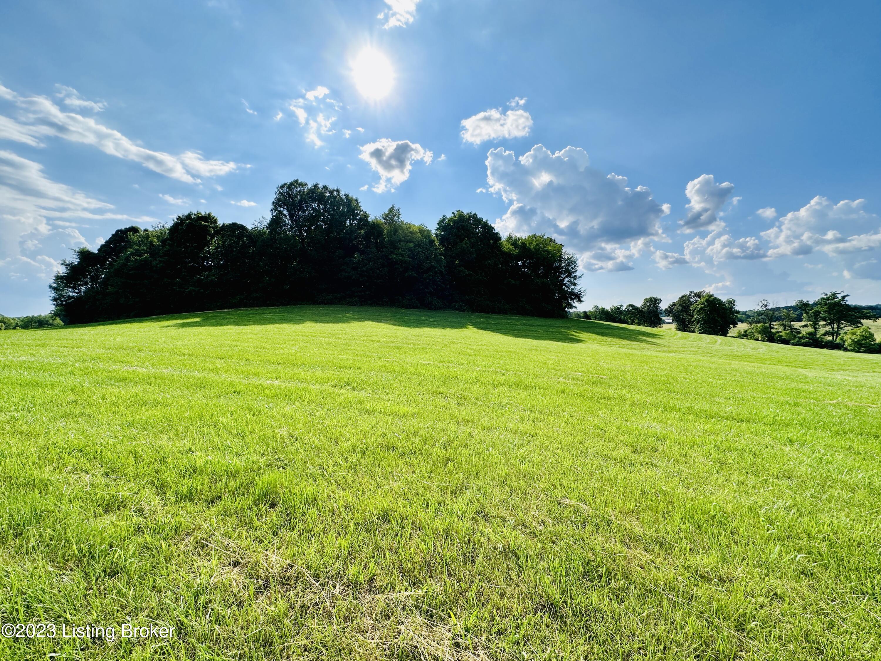 843 Pleasant View Road Millwood, KY 42762 - Photo 101 of 113 Property photos-9