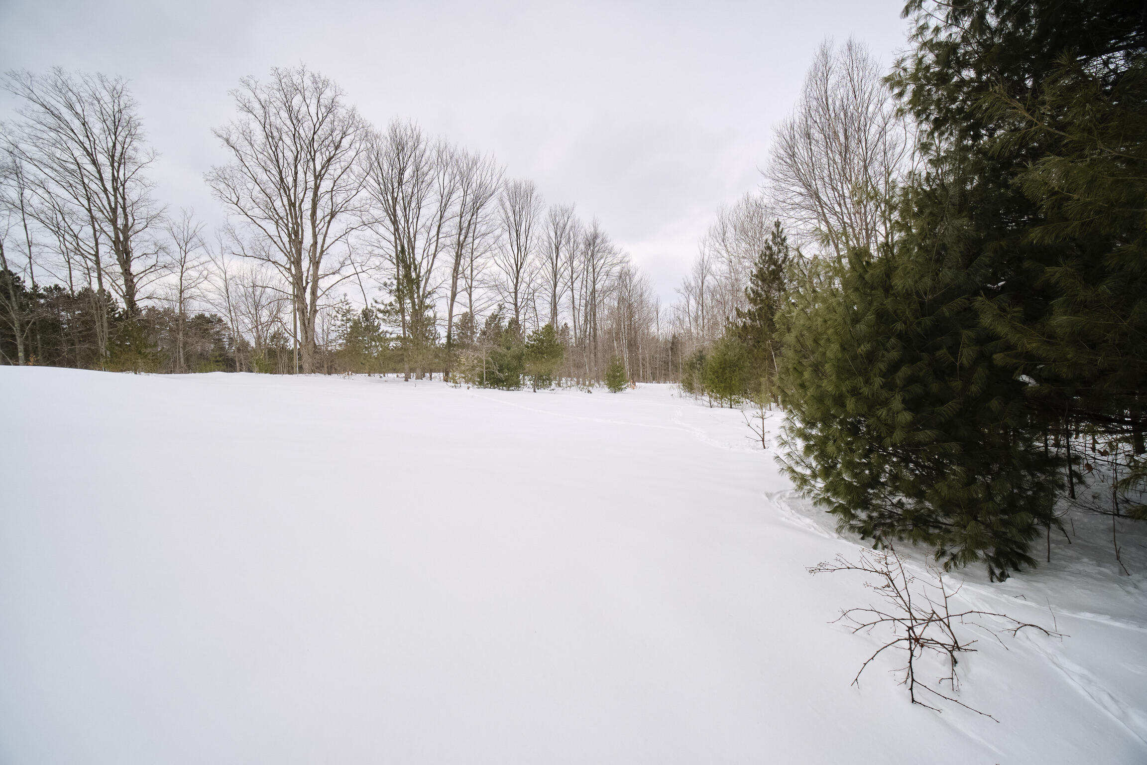 15837 Erwin Road Copemish, MI 49625 - Photo 47 of 54 Property views