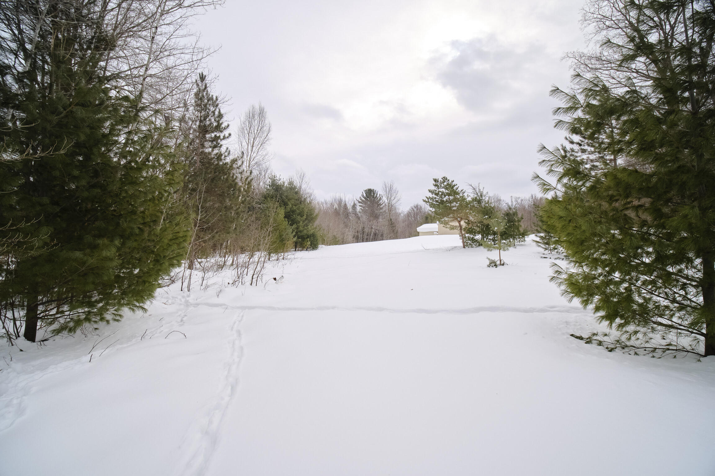 15837 Erwin Road Copemish, MI 49625 - Photo 7 of 54 Property views