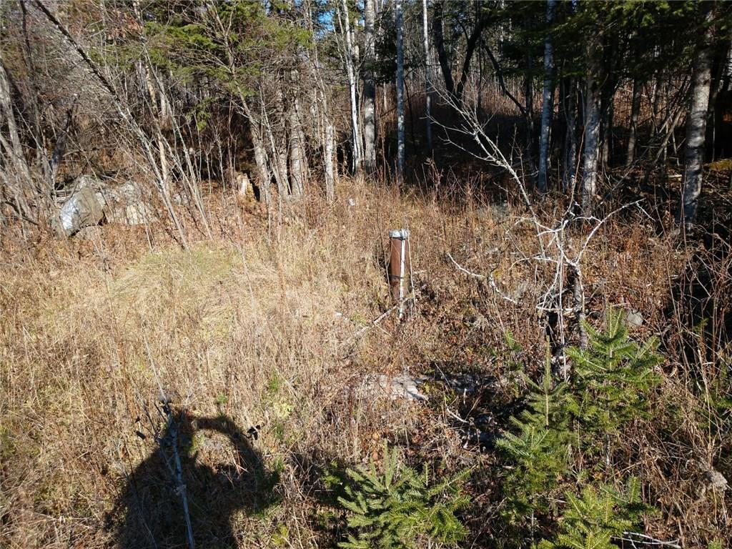 Lot 13.11 Tucker Ridge Road Springfield, ME 04487 - Photo 6 of 8 Photo