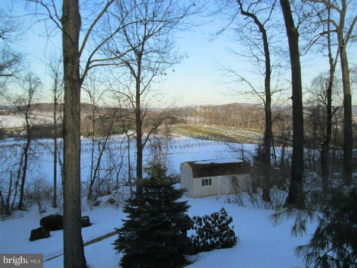 622 Seidels Run Road Leesport, PA 19533 - Photo 10 of 24 Gallery Image 10
