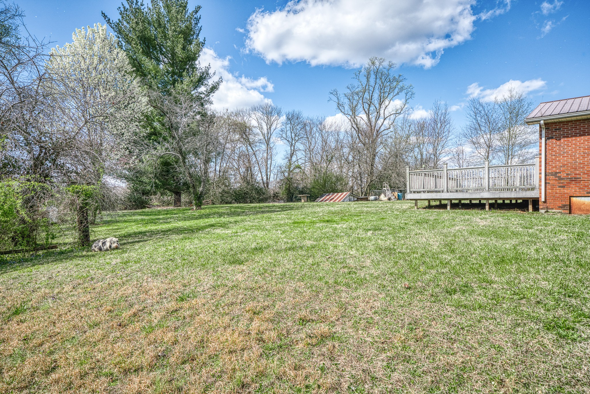 9780 Old Kentucky Road Sparta, TN 38583 - Photo 35 of 43 Gallery Image 35