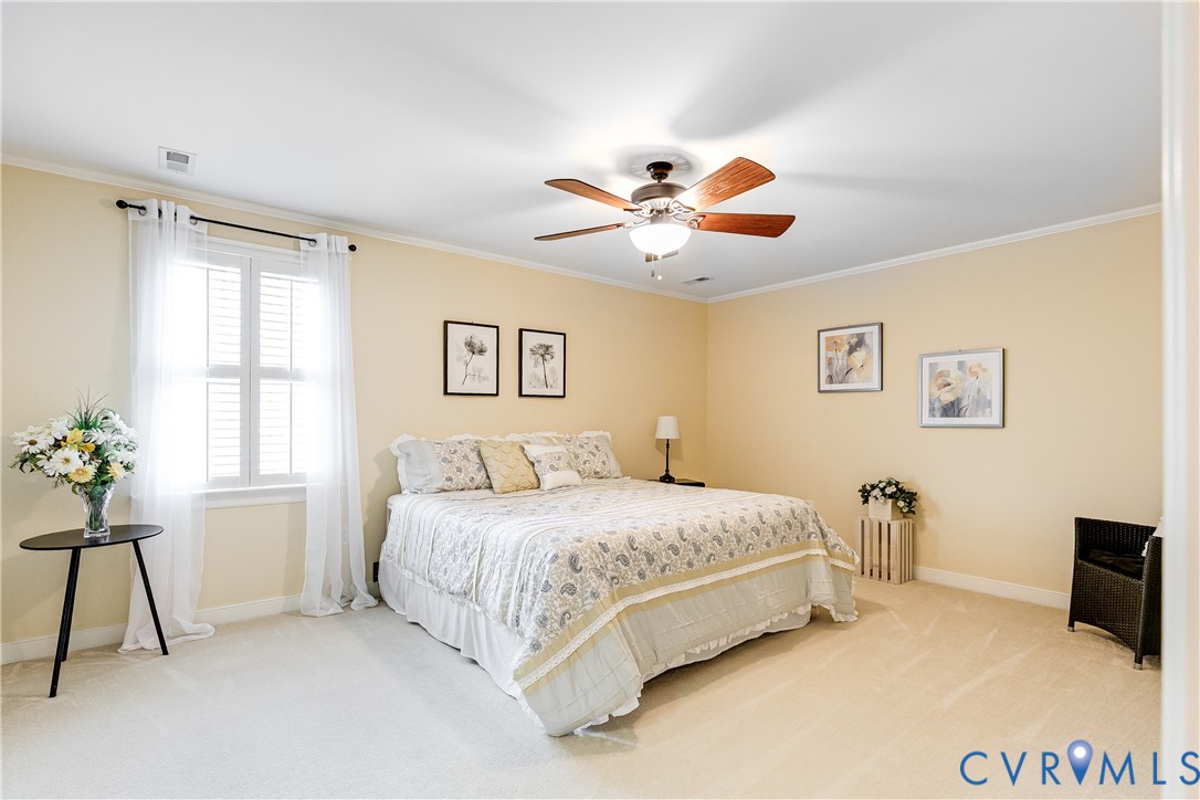 18178 Vontay Road Rockville, VA 23146 - Photo 54 of 96