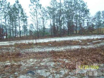 1327 Quail Ridge Loop Northeast Leland, NC 28451 - Photo 1 of 2 Primary Photo