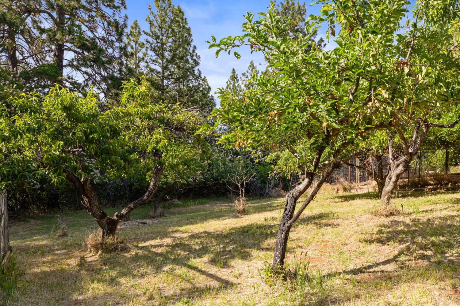 9340 Mosquito Road Placerville, CA 95667 - Photo 62 of 92