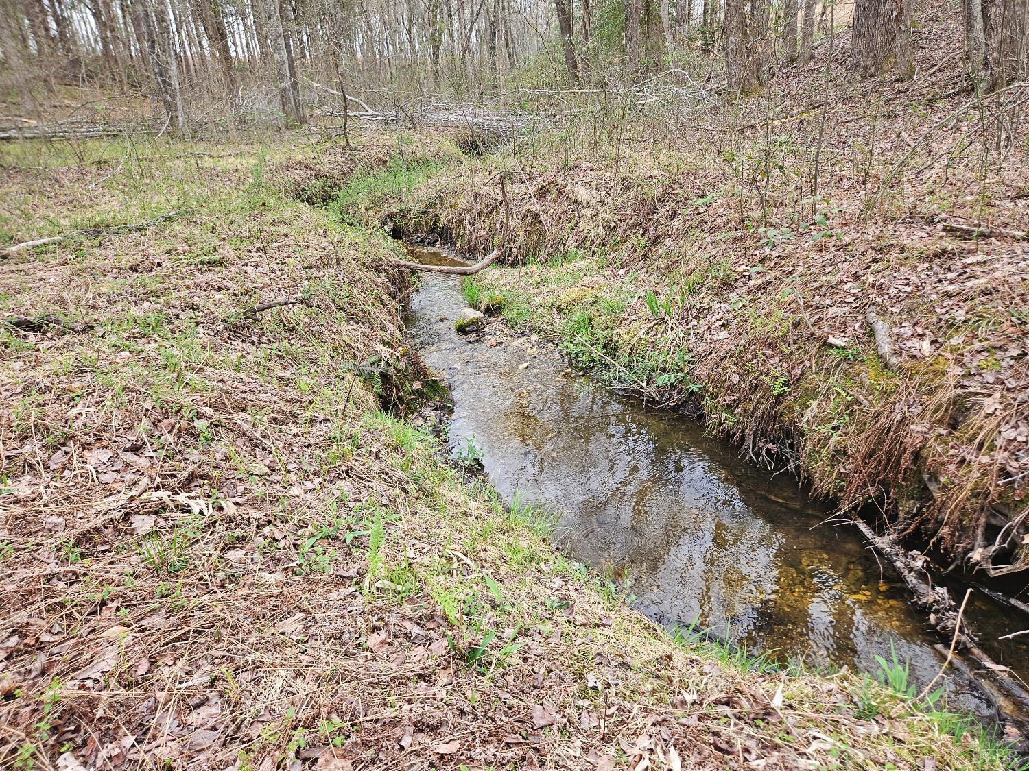 0 South James River Road Buckingham, VA 23921 - Photo 12 of 21