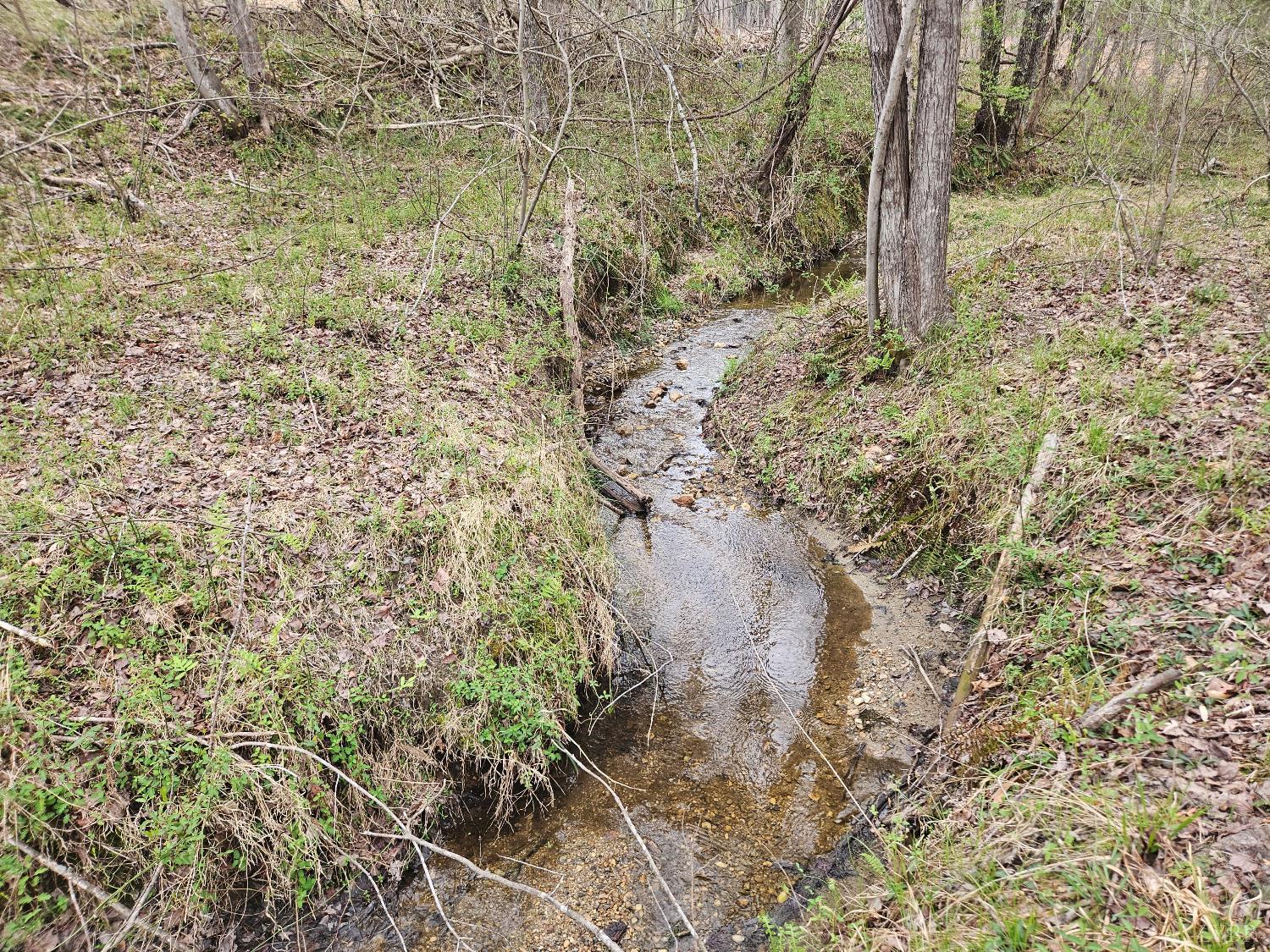0 South James River Road Buckingham, VA 23921 - Photo 13 of 21