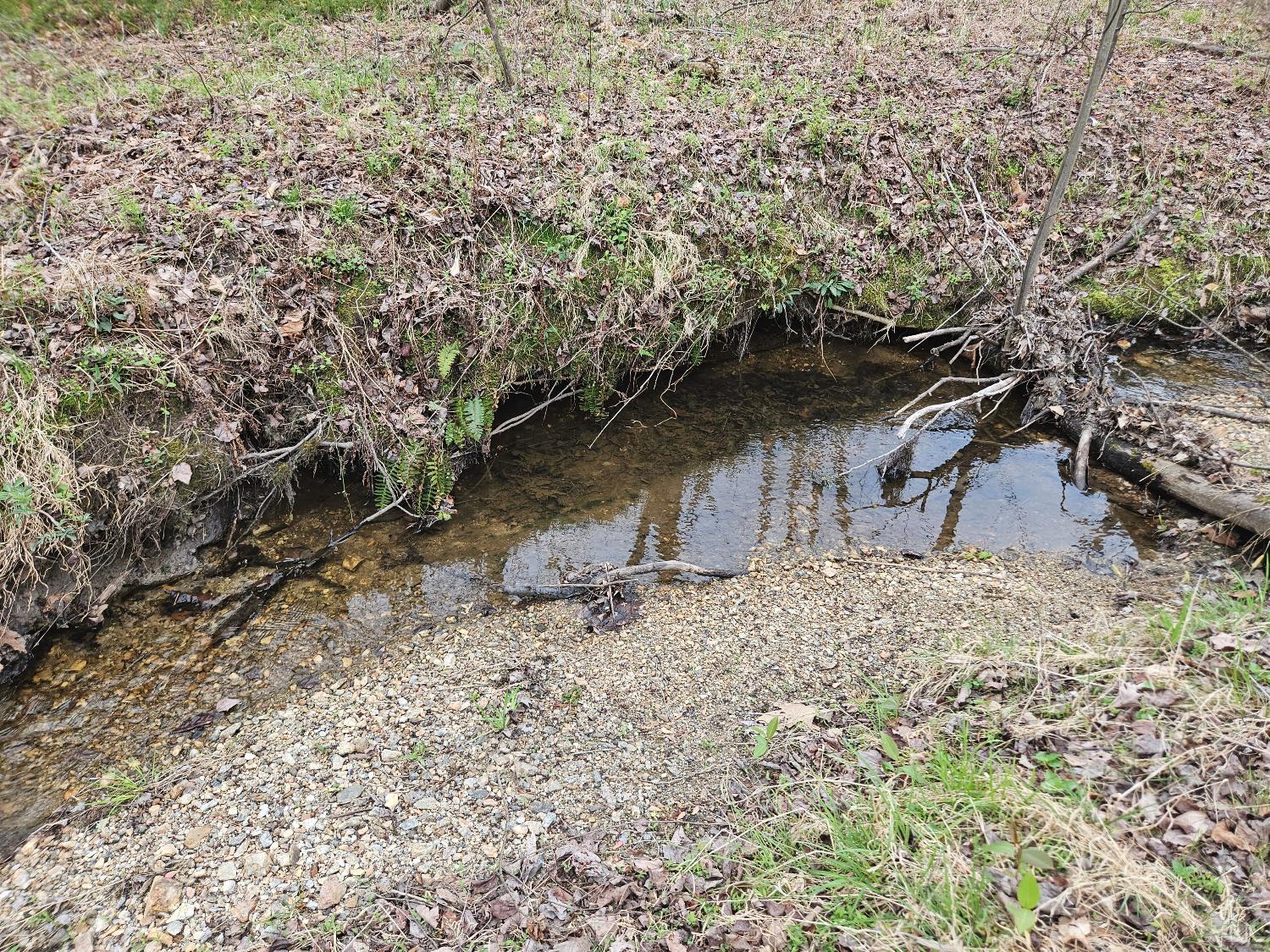 0 South James River Road Buckingham, VA 23921 - Photo 15 of 21