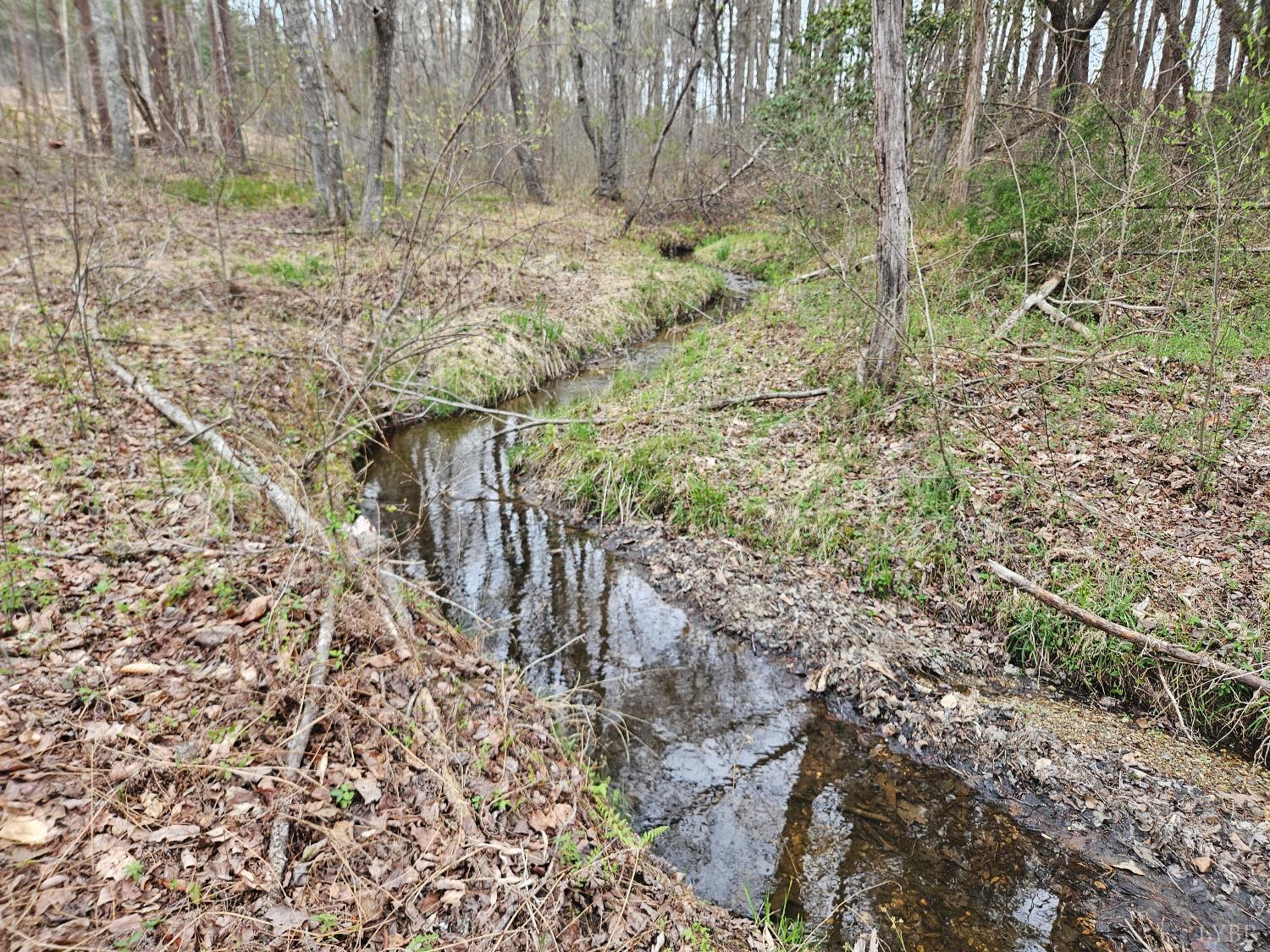 0 South James River Road Buckingham, VA 23921 - Photo 16 of 21