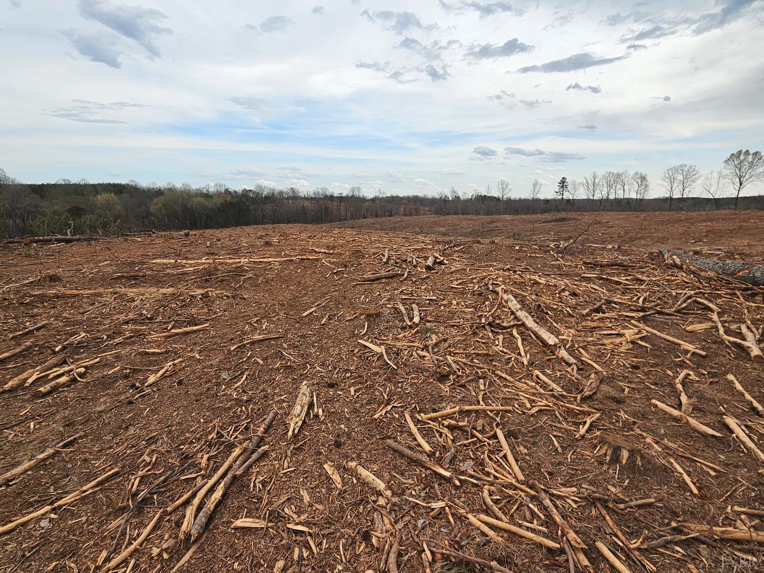 0 South James River Road Buckingham, VA 23921 - Photo 17 of 21