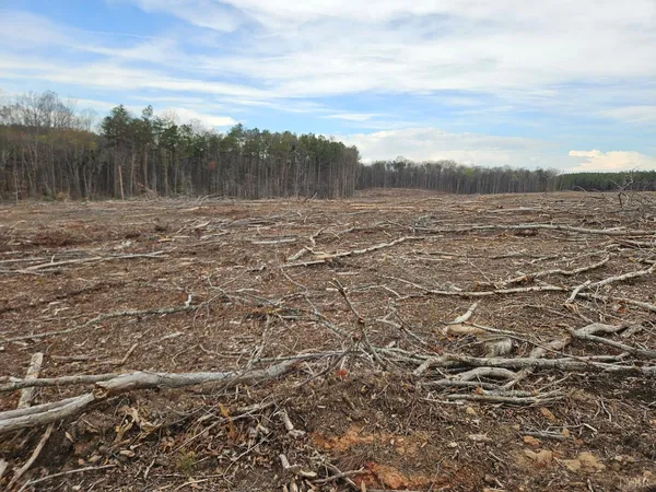 $200,000 | 0 South James River Road, Buckingham, VA 23921