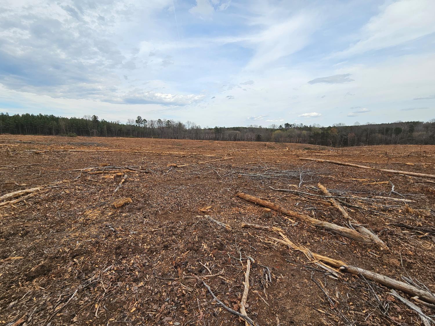 0 South James River Road Buckingham, VA 23921 - Photo 9 of 21