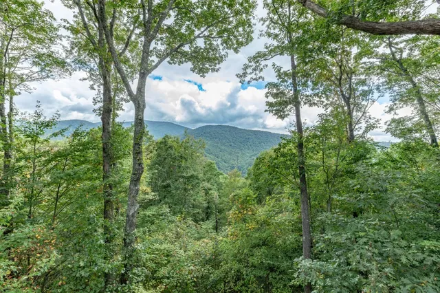 $1,525,000 | 881 Fox Mountain Road, Cherry Log, GA 30522