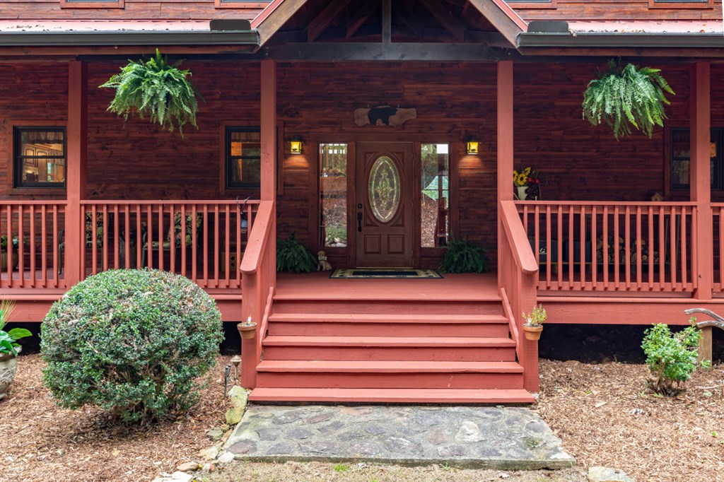 881 Fox Mountain Road Cherry Log, GA 30522 - Photo 4 of 45