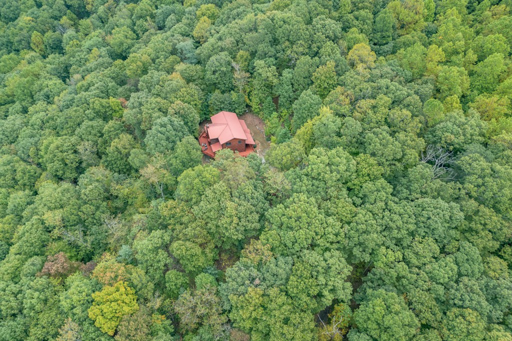 881 Fox Mountain Road Cherry Log, GA 30522 - Photo 44 of 45