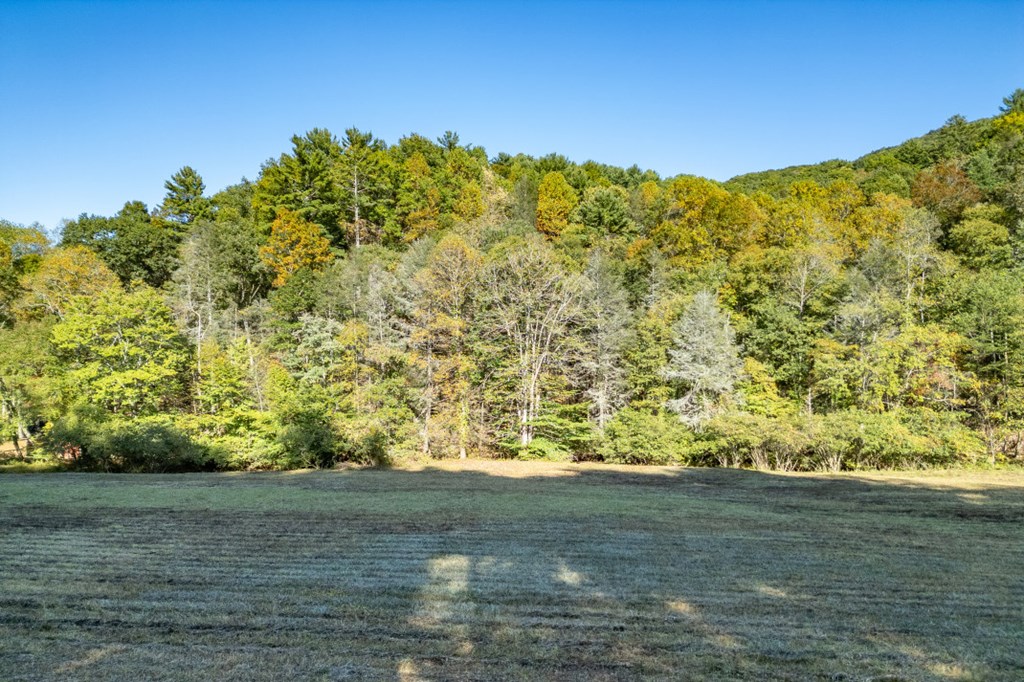 881 Fox Mountain Road Cherry Log, GA 30522 - Photo 45 of 45