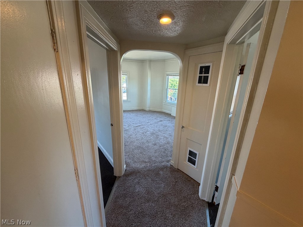 15300 Waterloo Road, Unit 1 Cleveland, OH 44110 - Photo 7 of 11 Archway entry to a carpeted room with multiple windows