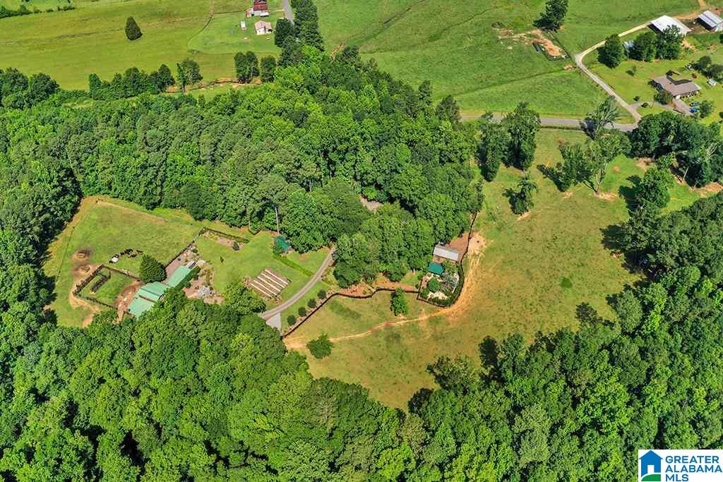 1675 Canoe Creek Road Springville, AL 35146 - Photo 1 of 50