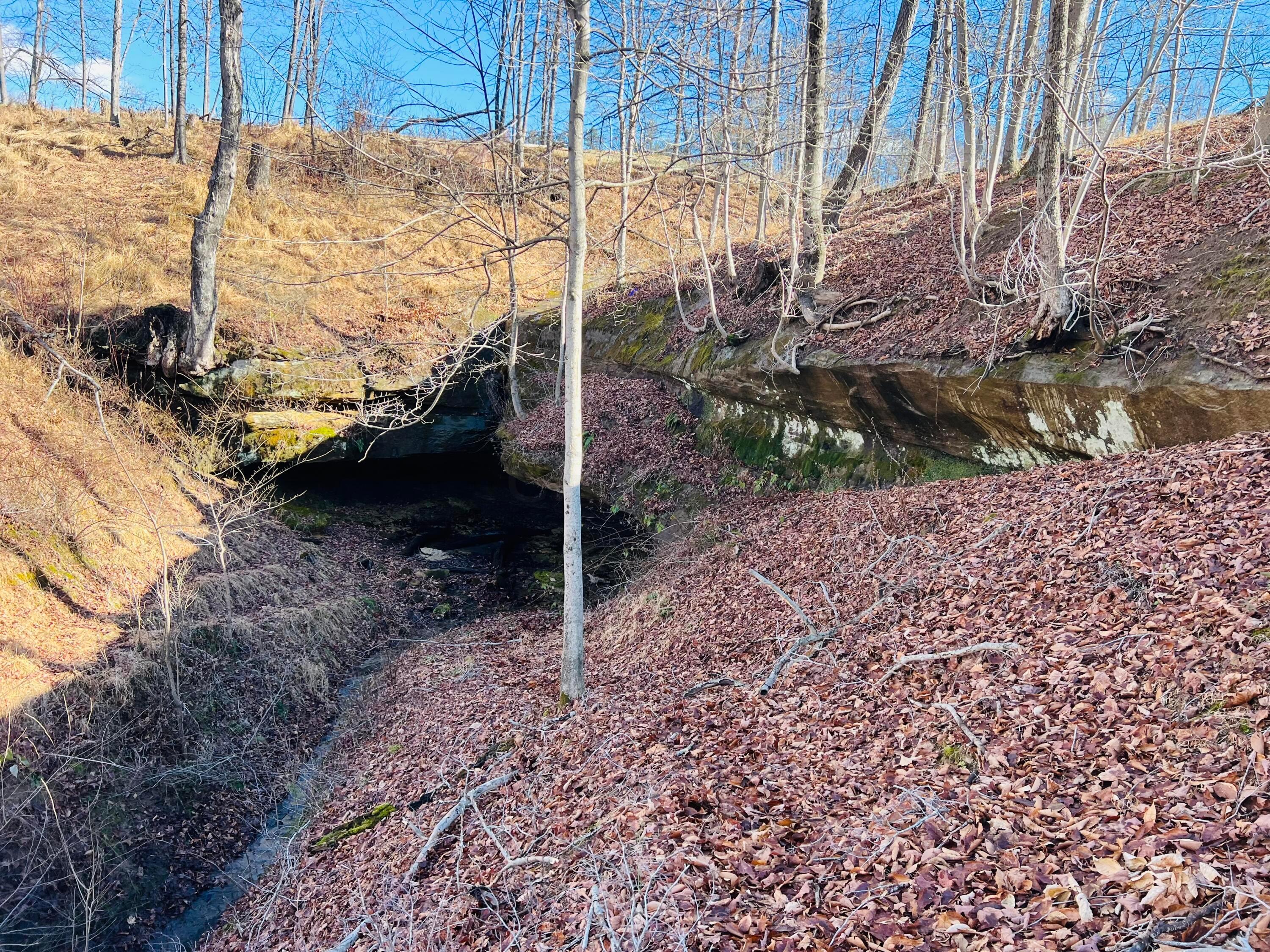 0 Chase Road, Unit CHASE TRACT 2) Athens, OH 45701 - Photo 27 of 29 20240111_183730492_iOS