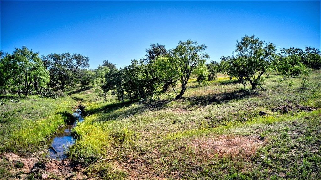 1519 Union Road Art, TX 76820 - Photo 3 of 14 Gallery Image 3