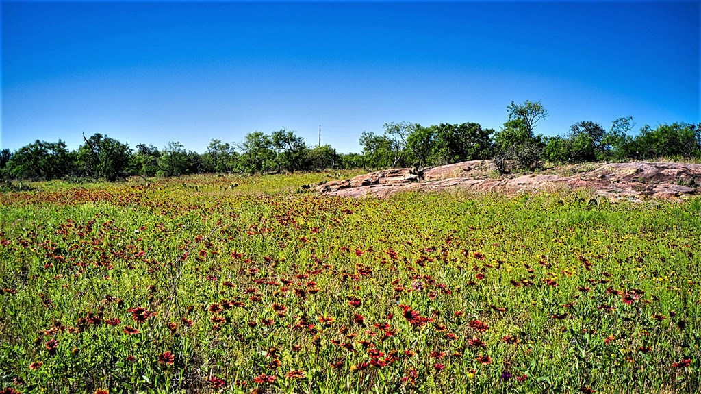 1519 Union Road Art, TX 76820 - Photo 5 of 14 Gallery Image 5