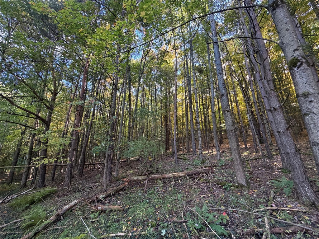 9319 Nouvou Road Genesee, NY 14770 - Photo 50 of 50 Gallery Image 50