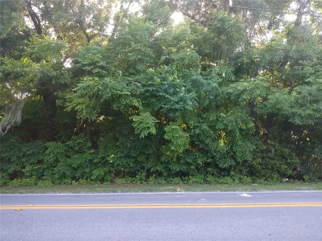 a view of a yard from a window