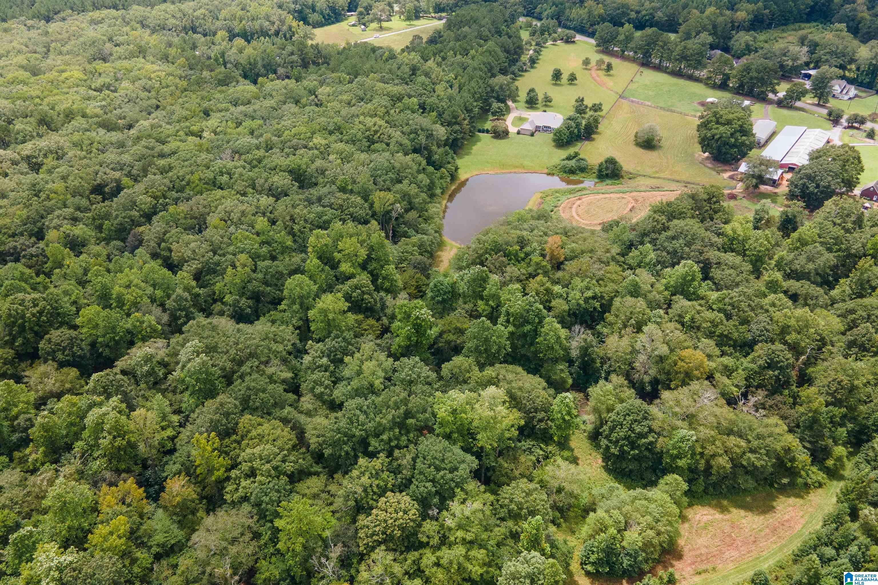 6578 Chelsea Road Columbiana, AL 35051 - Photo 47 of 52