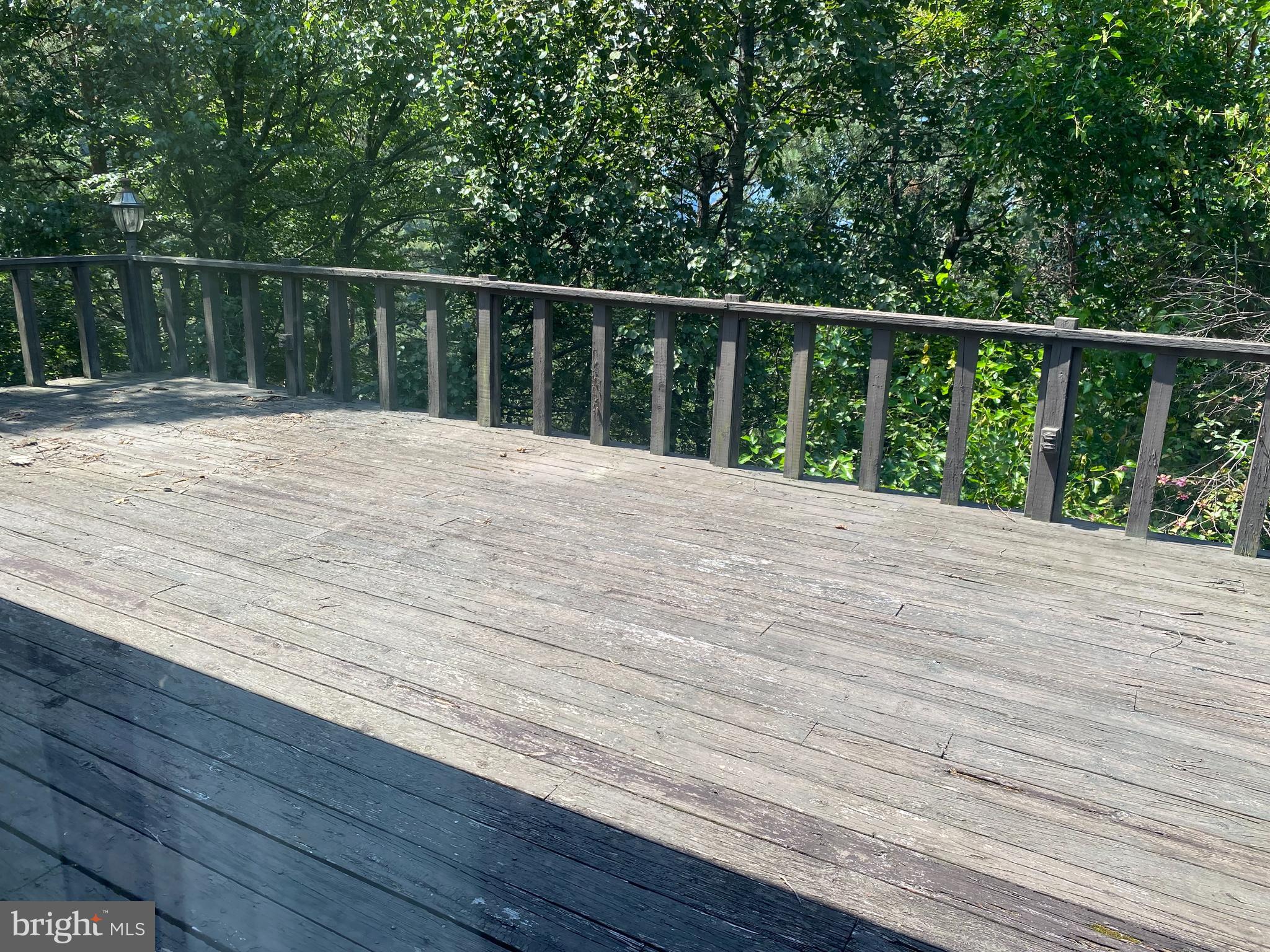1 Sunset Drive Lavale, MD 21502 - Photo 3 of 21 a balcony with trees in front of it