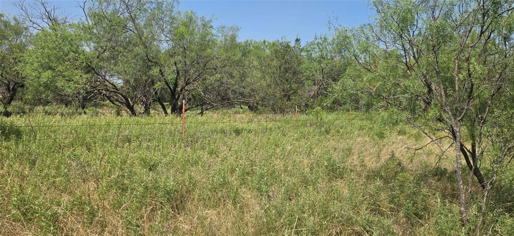 Tbd Nash Road Jacksboro, TX 76458 - Photo 4 of 28 Image quality insufficient for description