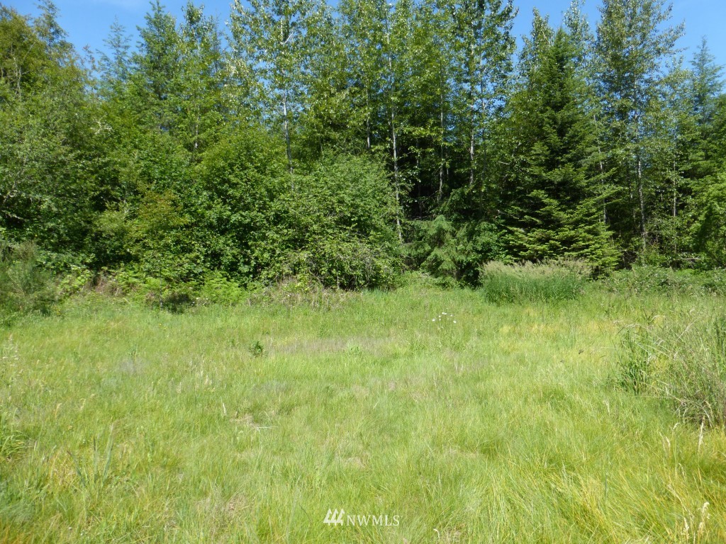 153 B Roppert Road Winlock, WA 98596 - Photo 1 of 6 Gallery Image 1