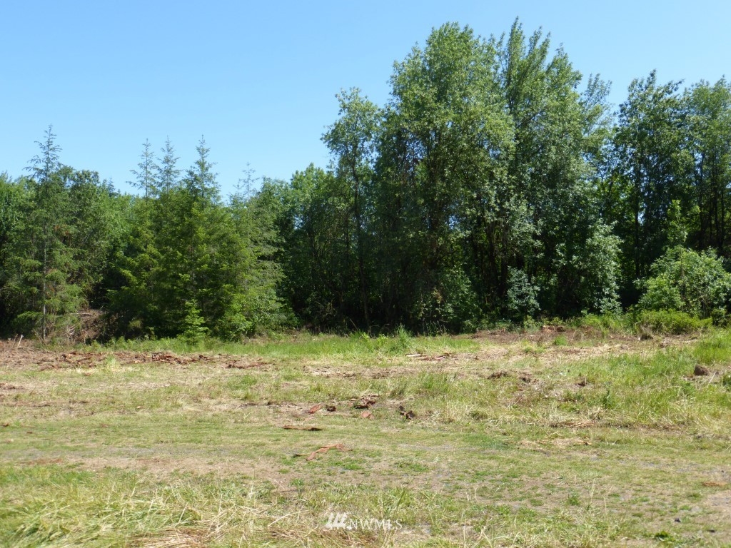 153 B Roppert Road Winlock, WA 98596 - Photo 2 of 6 Gallery Image 2