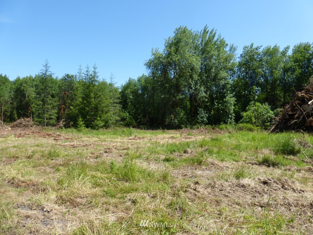 153 B Roppert Road Winlock, WA 98596 - Photo 3 of 6 Gallery Image 3