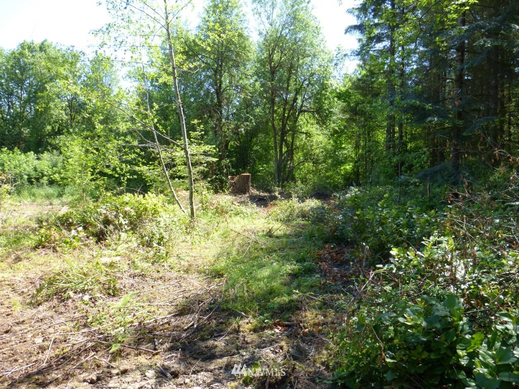 153 B Roppert Road Winlock, WA 98596 - Photo 4 of 6 Gallery Image 4