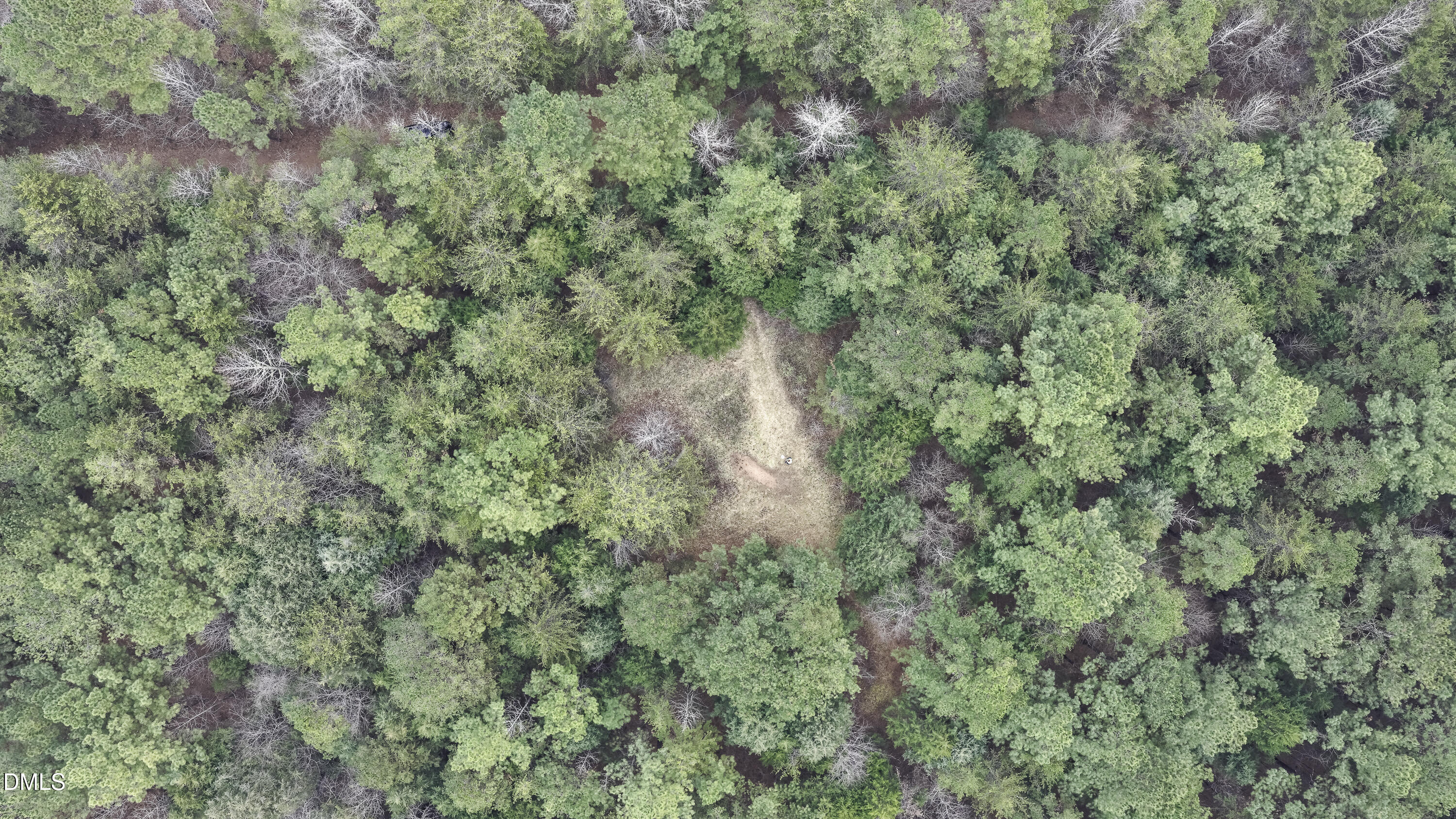 0 Versailles Road Cleveland, NC 27013 - Photo 16 of 33 a view of a forest with a tree
