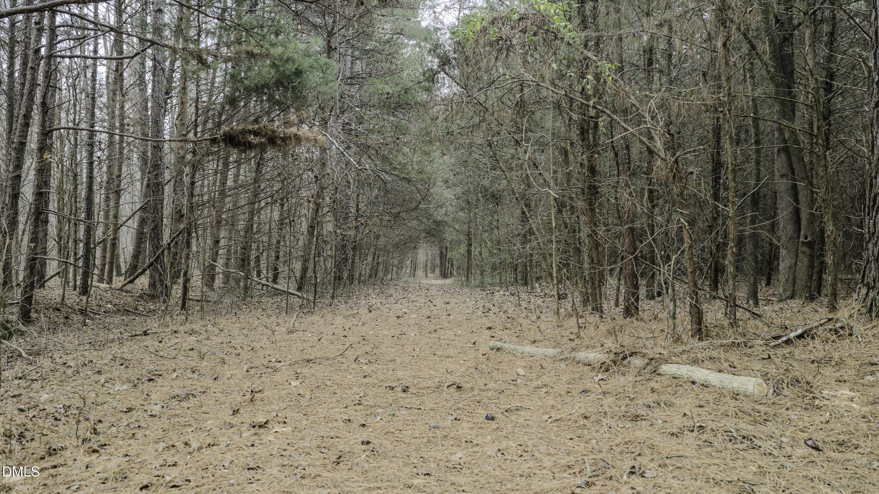 0 Versailles Road Cleveland, NC 27013 - Photo 17 of 33 a view of a dry yard with trees in the background