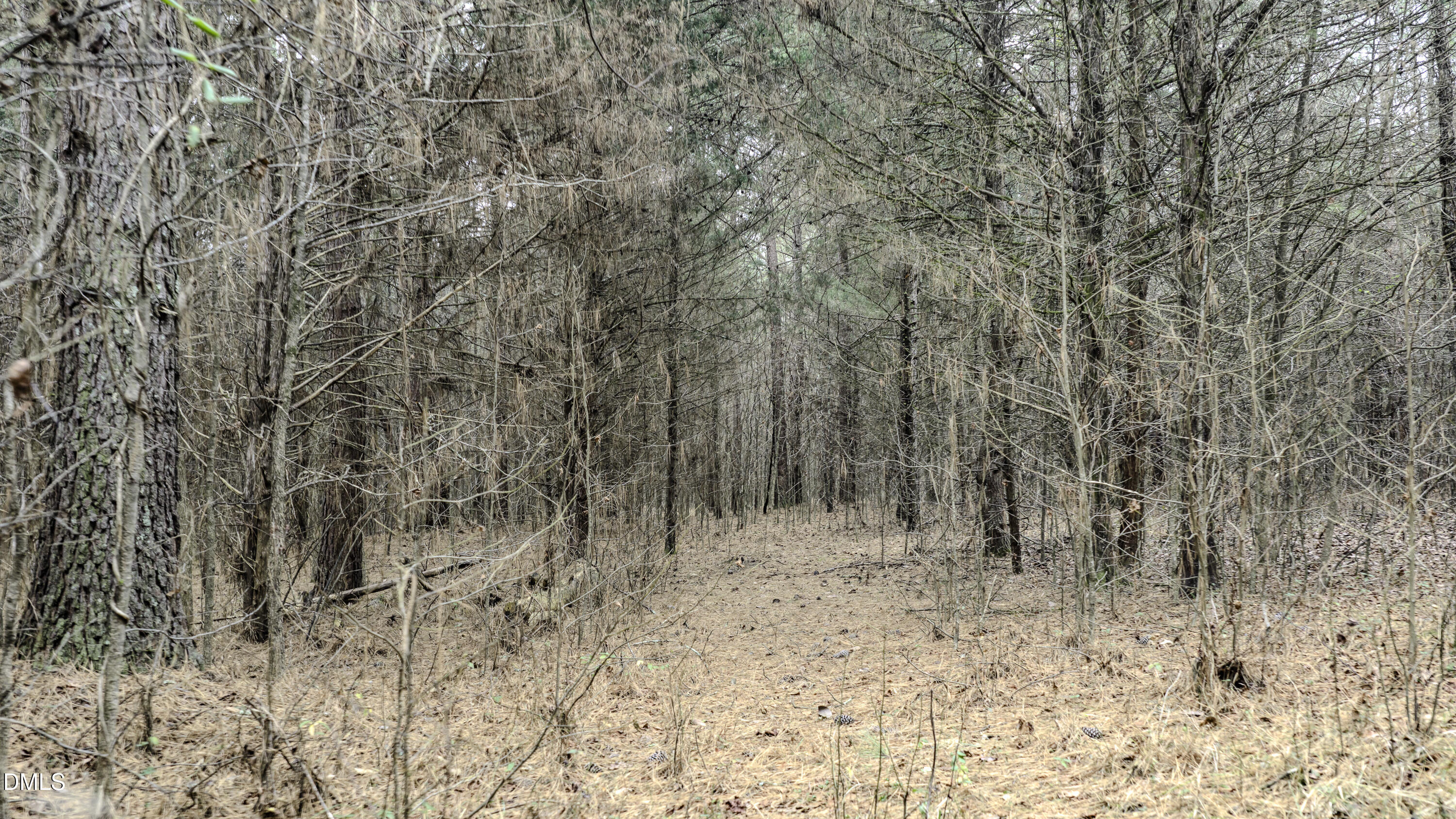 0 Versailles Road Cleveland, NC 27013 - Photo 22 of 33 a view of wooden floor in a yard