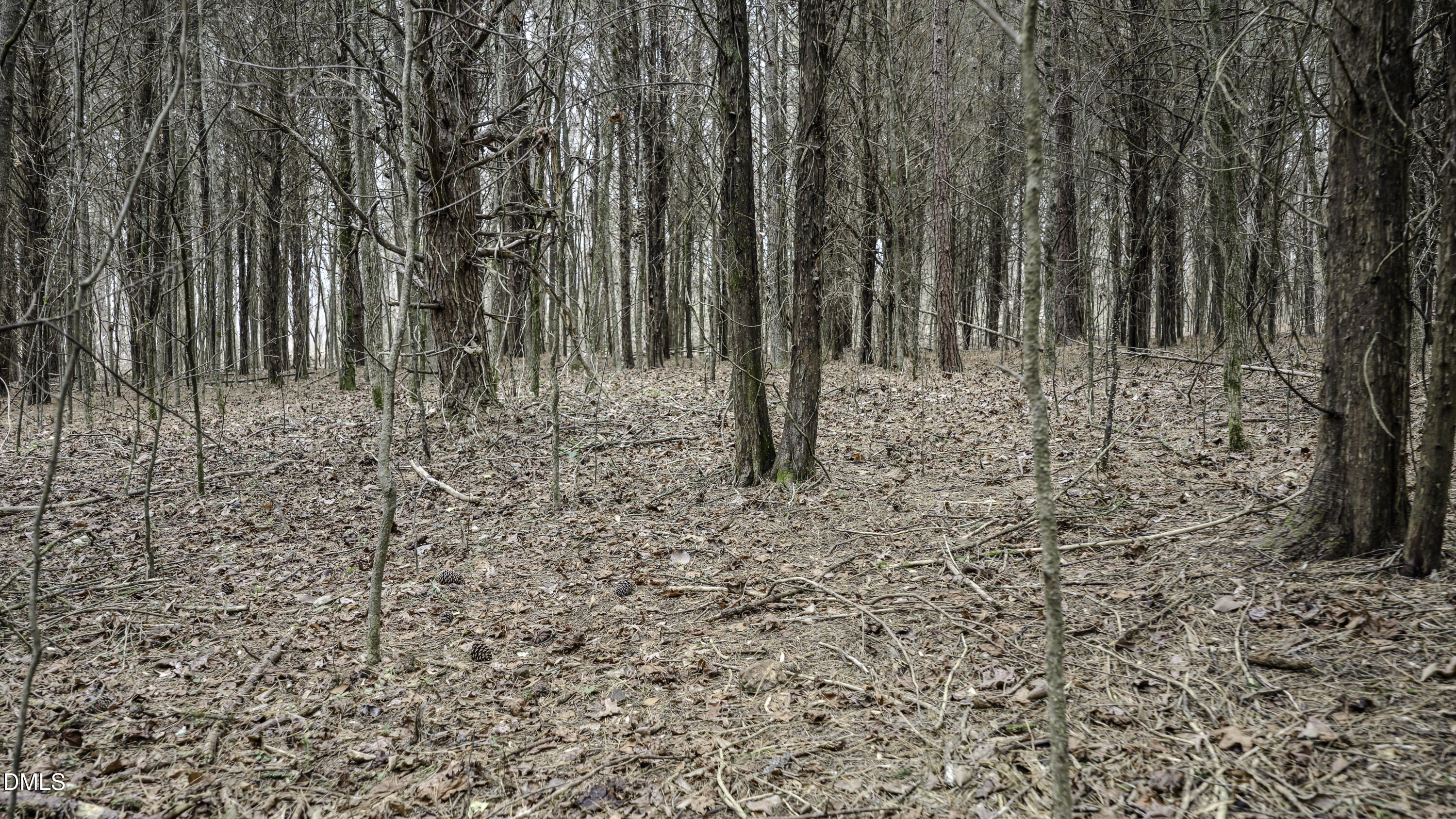 0 Versailles Road Cleveland, NC 27013 - Photo 23 of 33 a view of a backyard of the house