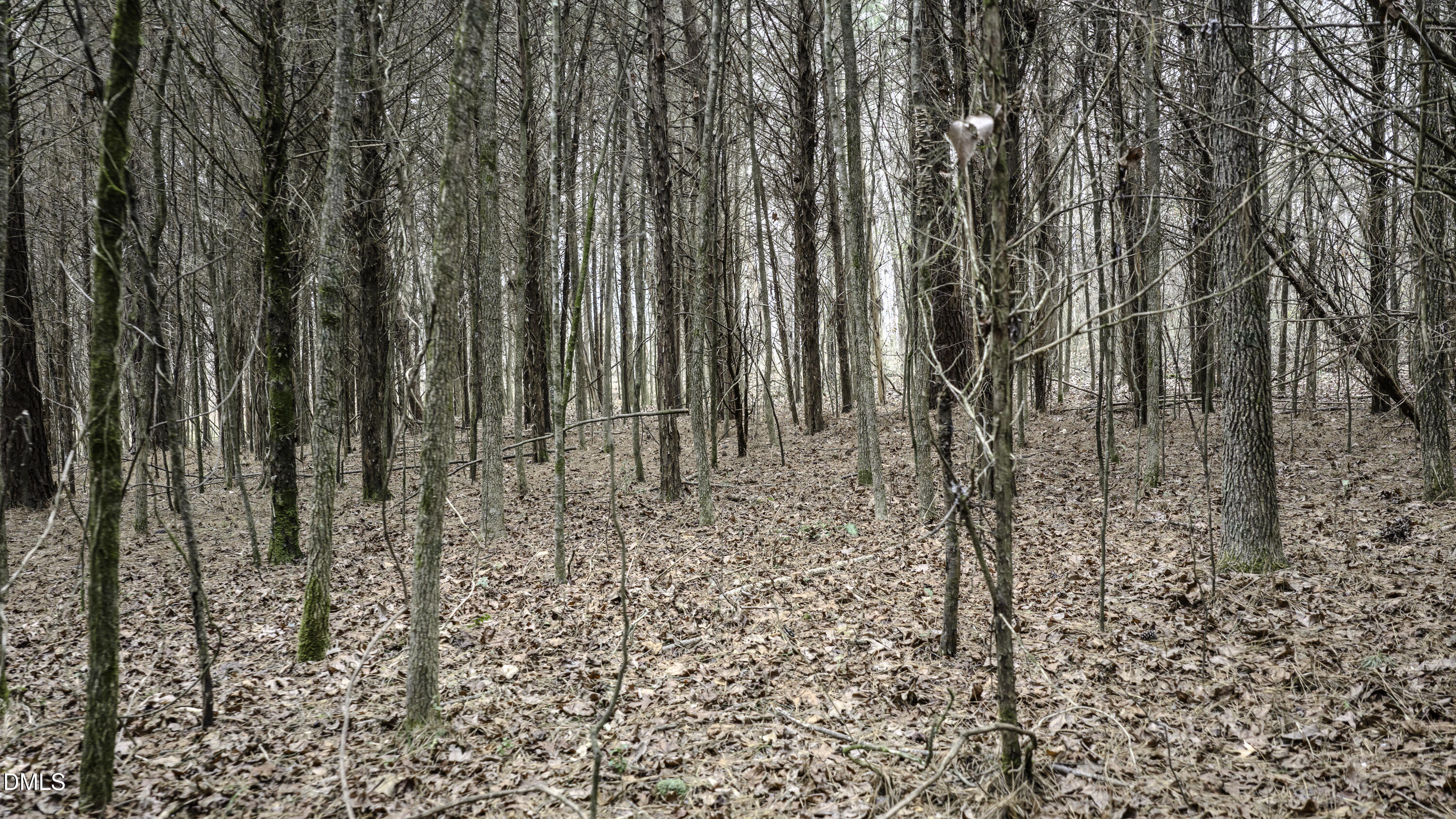 0 Versailles Road Cleveland, NC 27013 - Photo 24 of 33