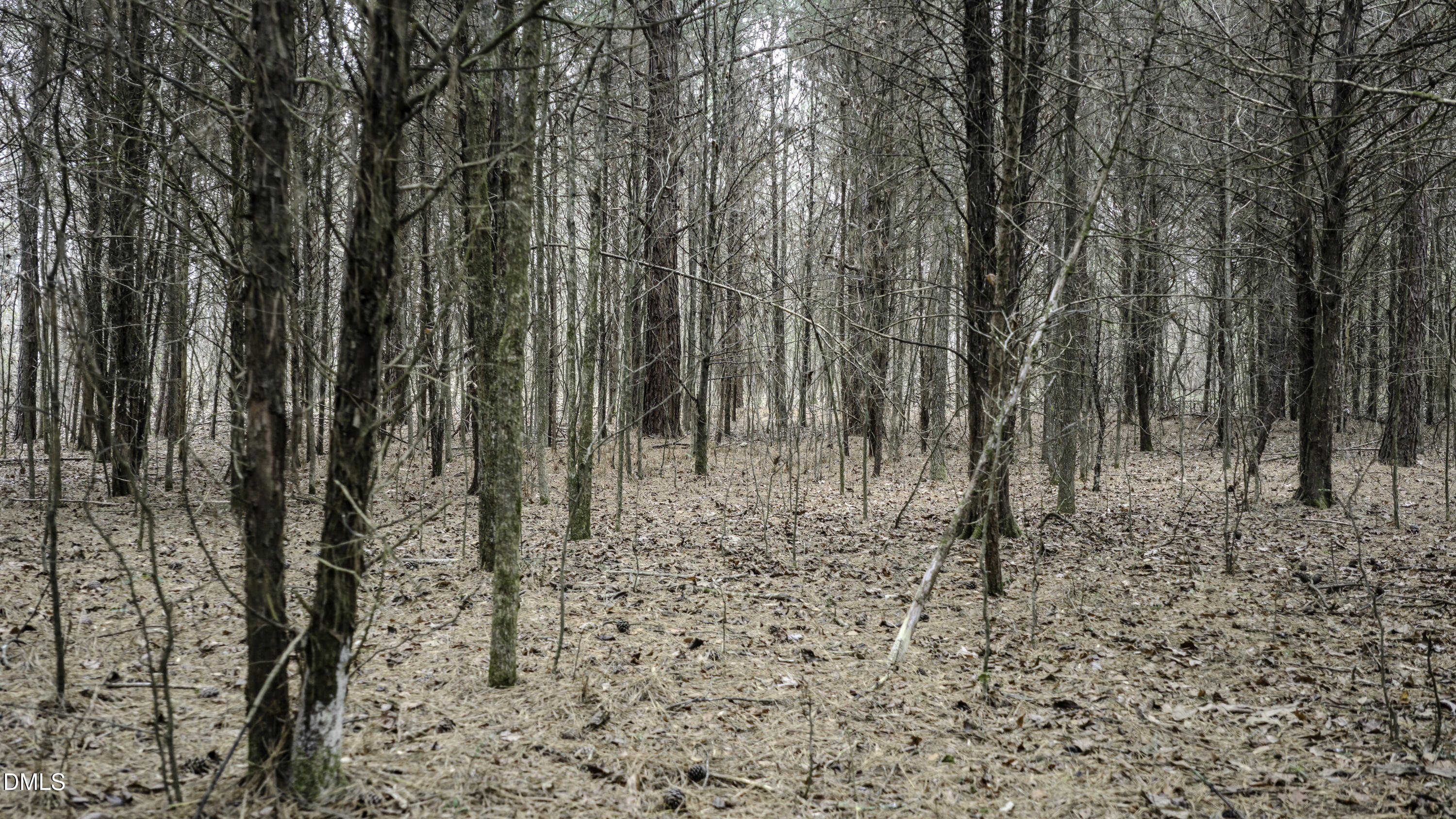 0 Versailles Road Cleveland, NC 27013 - Photo 25 of 33 a view of a yard with trees in the background