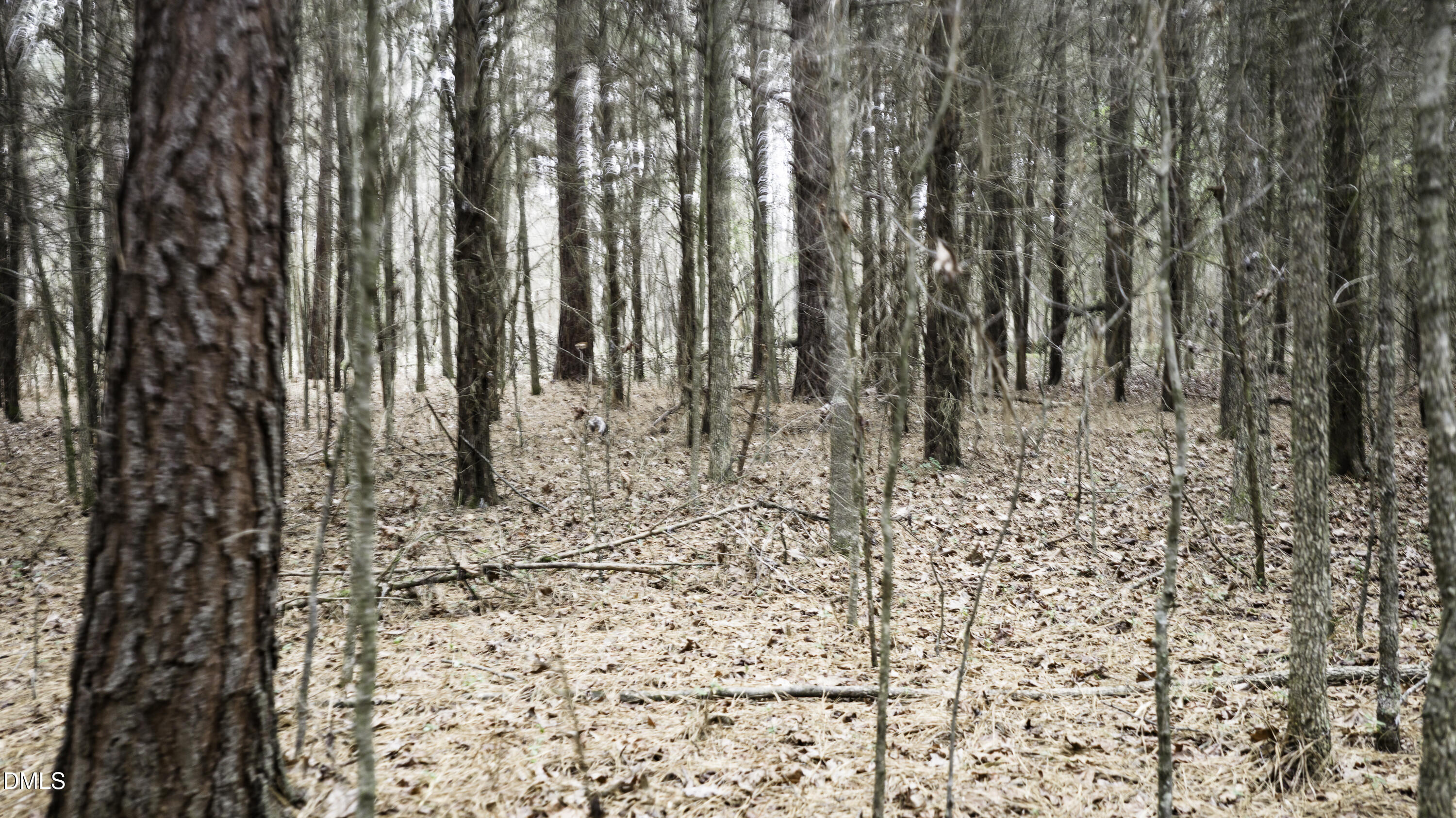 0 Versailles Road Cleveland, NC 27013 - Photo 26 of 33 a view of wooden floor