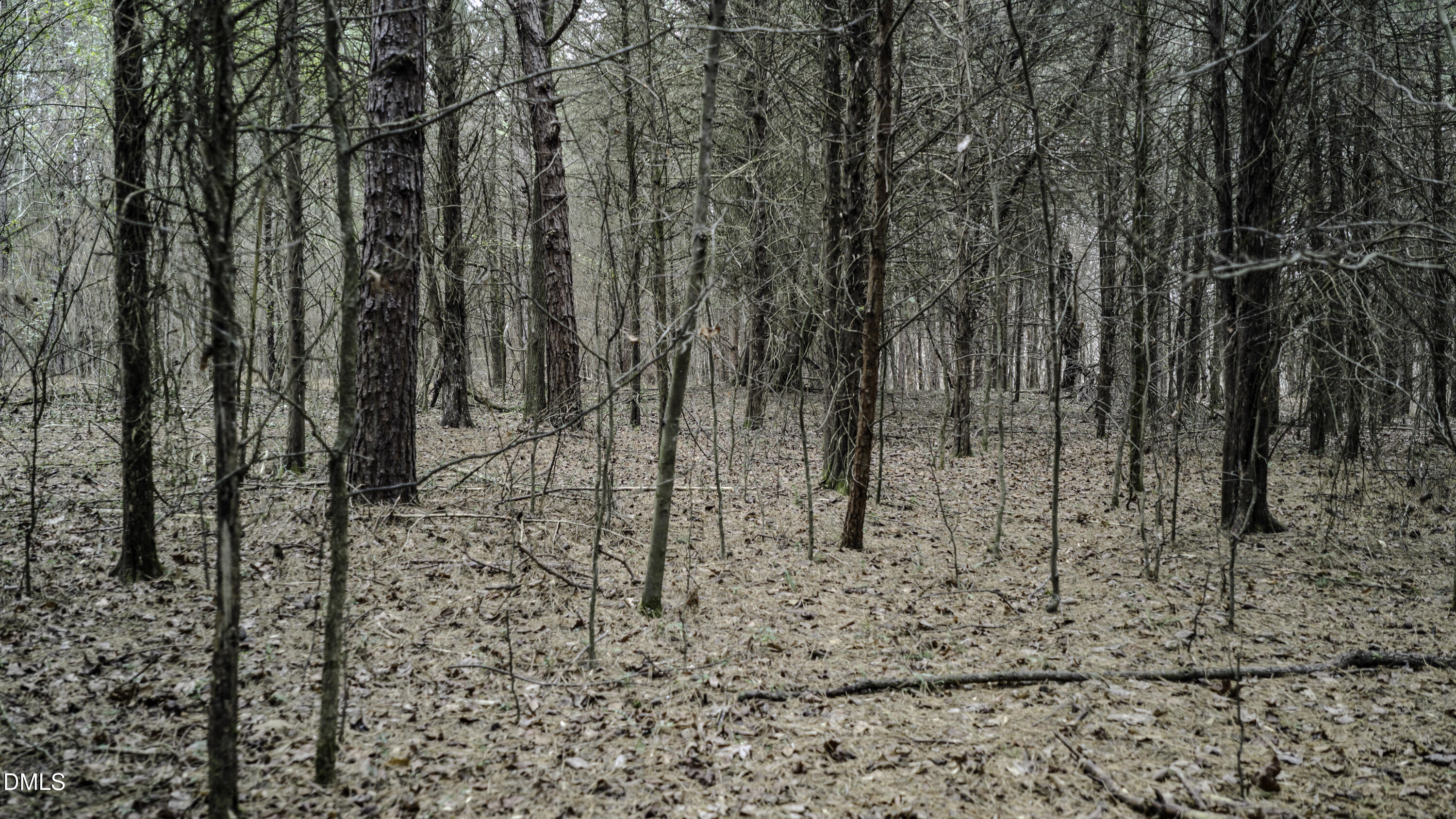 0 Versailles Road Cleveland, NC 27013 - Photo 27 of 33 a view of a yard with trees
