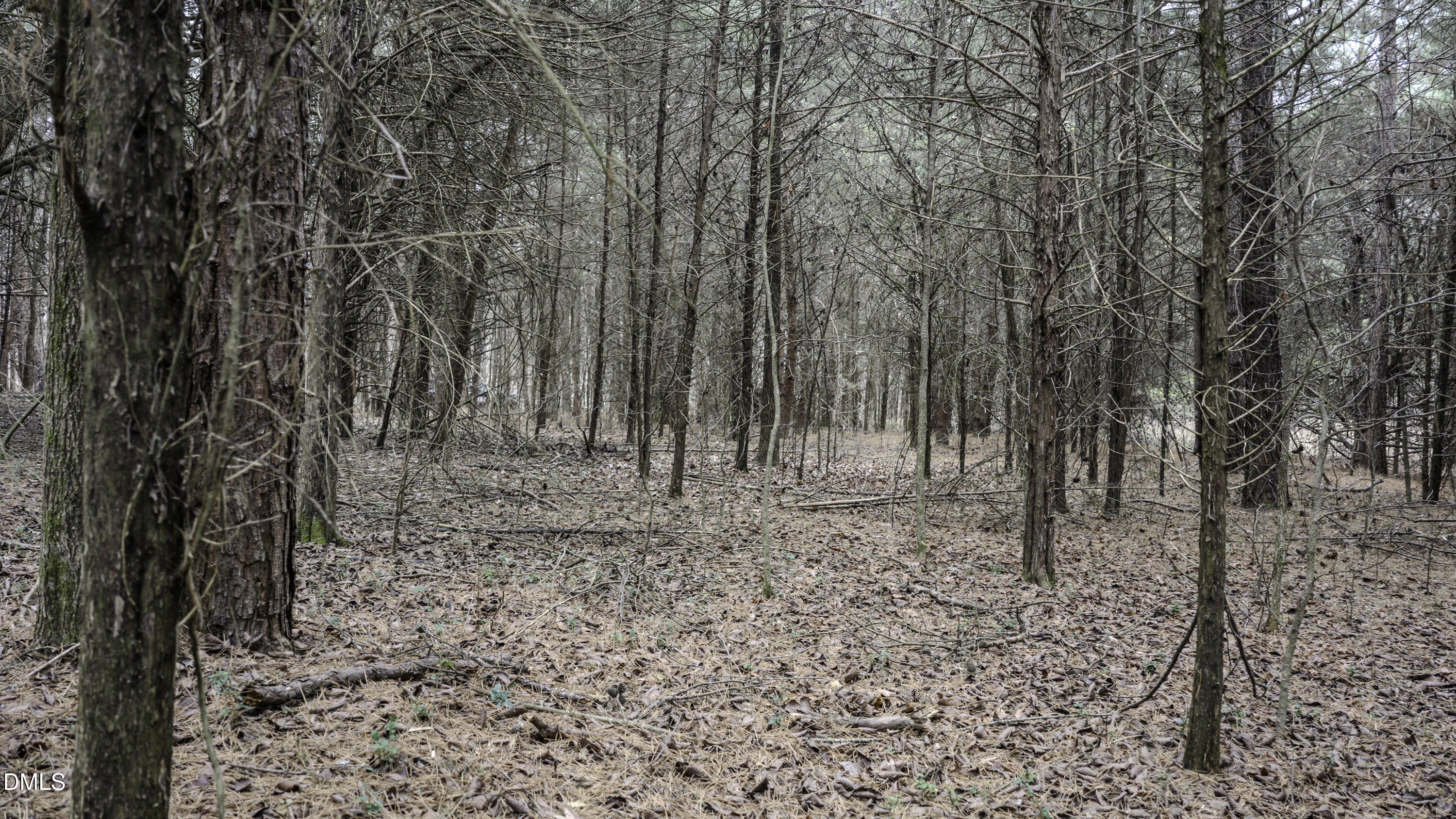 0 Versailles Road Cleveland, NC 27013 - Photo 28 of 33 a view of a yard with trees