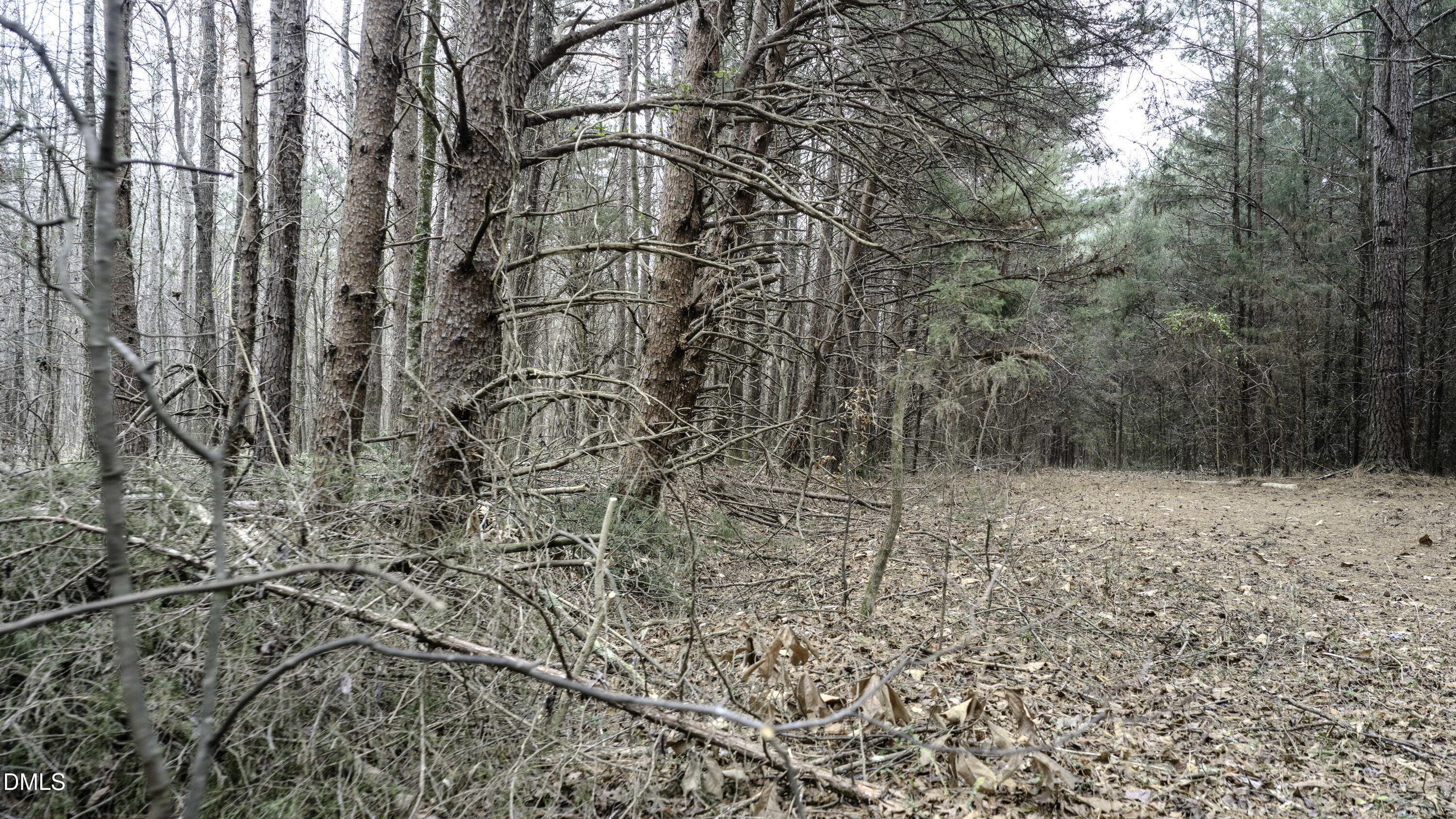 0 Versailles Road Cleveland, NC 27013 - Photo 30 of 33 a view of a yard with a tree