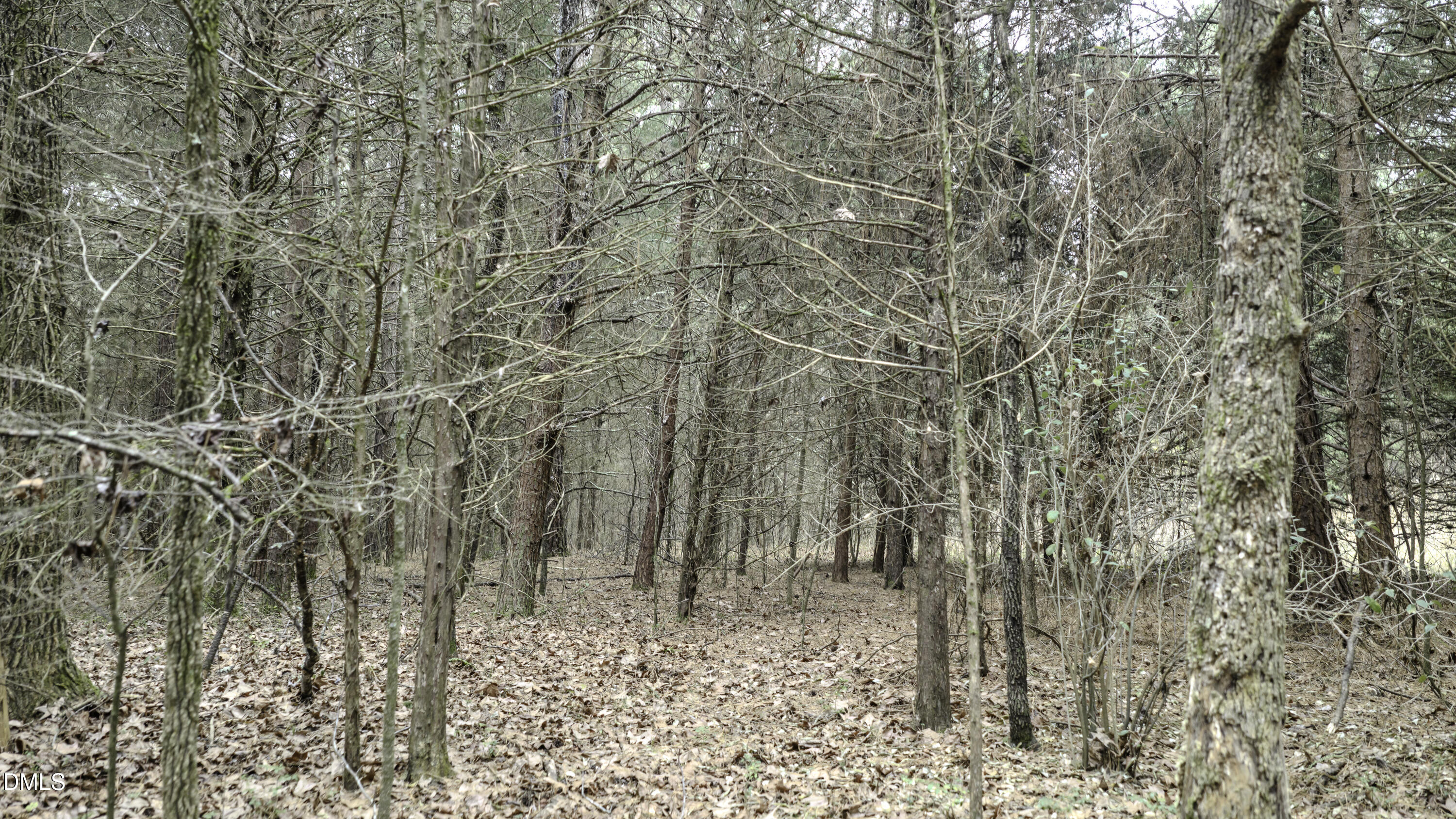 0 Versailles Road Cleveland, NC 27013 - Photo 31 of 33