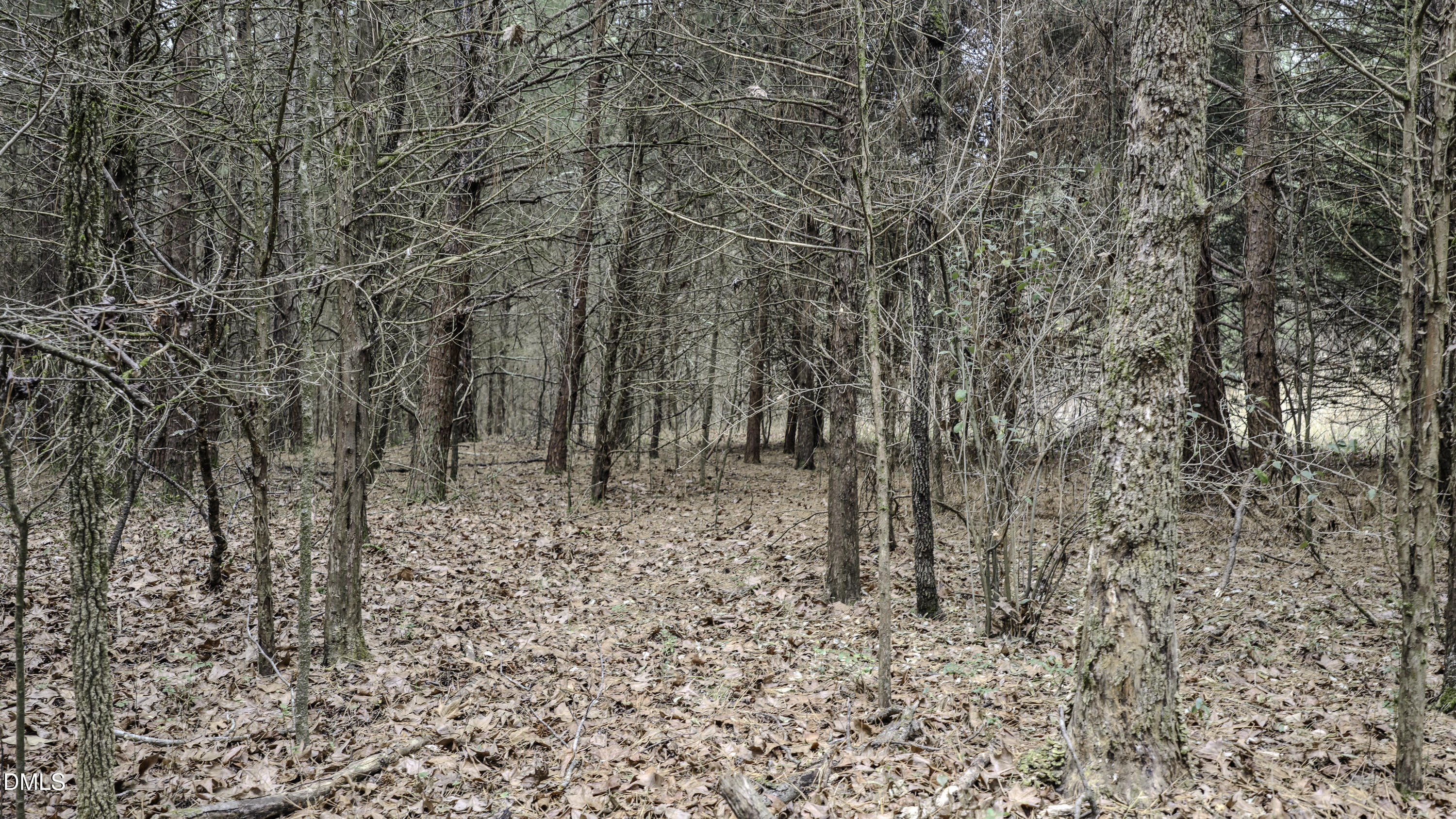 0 Versailles Road Cleveland, NC 27013 - Photo 32 of 33 a backyard of a house with lots of green space