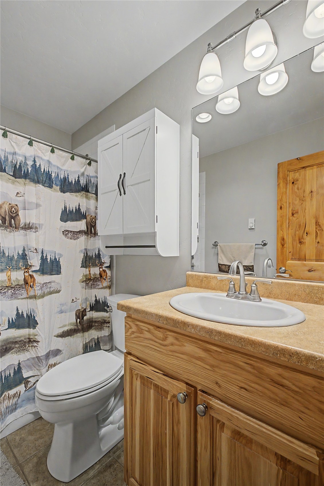 6726 Ryan Gulch Road, Unit 6726 Wildernest, CO 80498 - Photo 31 of 39 a bathroom with a sink a toilet and a mirror